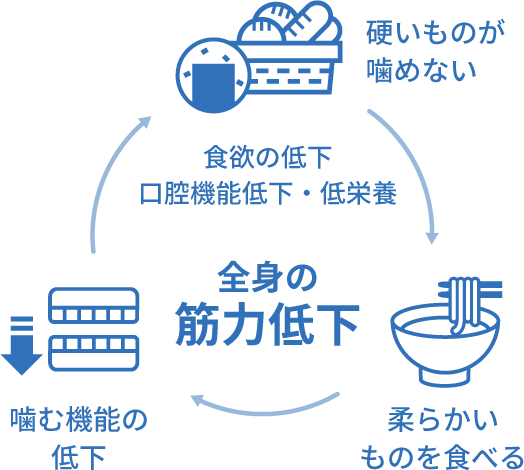 噛めないことによる悪循環